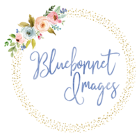 Bluebonnet Images Logo